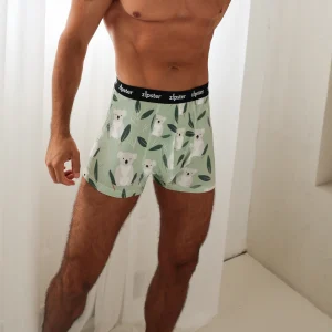 Men's Boxer Shorts Koala